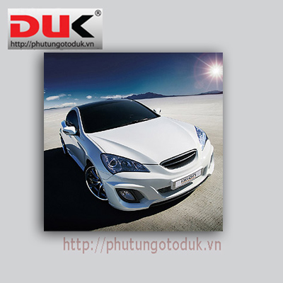 BODY KIT MẪU IXION GENESIS COUPE